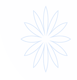 PA真人·PLAYACE官网