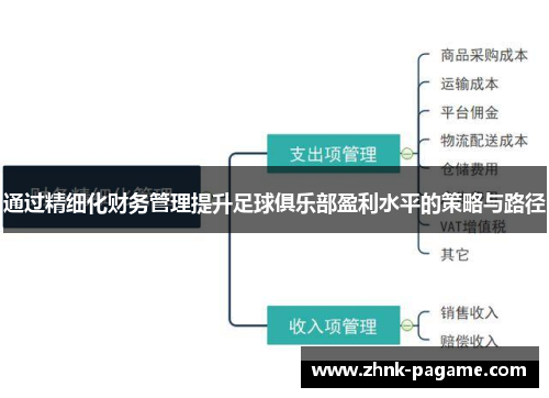 通过精细化财务管理提升足球俱乐部盈利水平的策略与路径